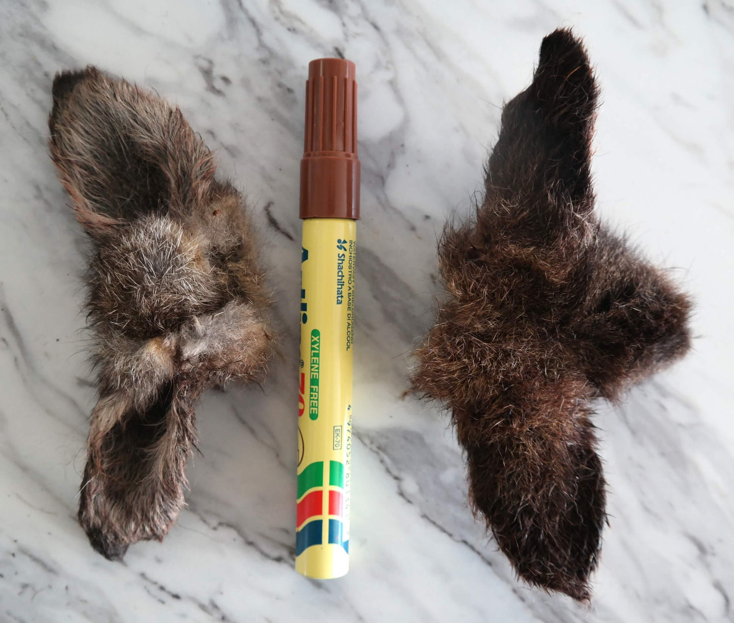 Dried Wallaby Ears
