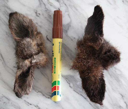 Dried Wallaby Ears