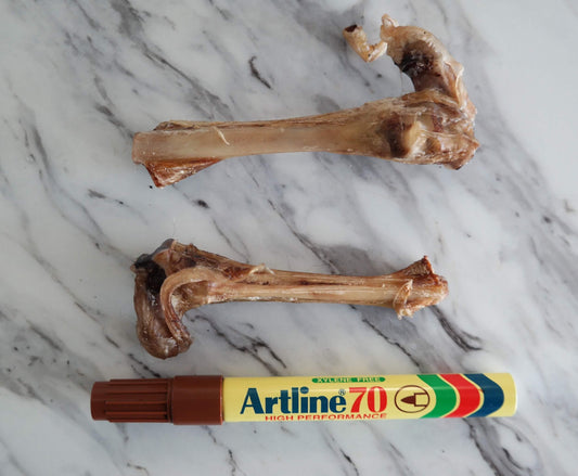Dried Wallaby Leg Knobs